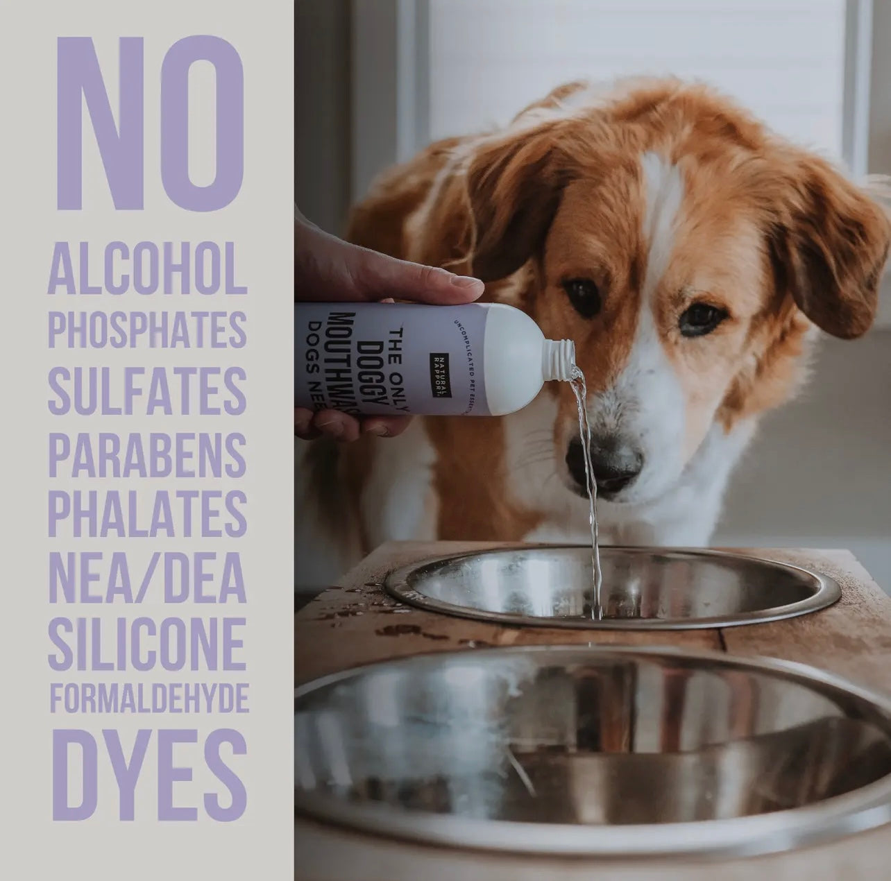The Only Doggy Mouthwash Dogs Need