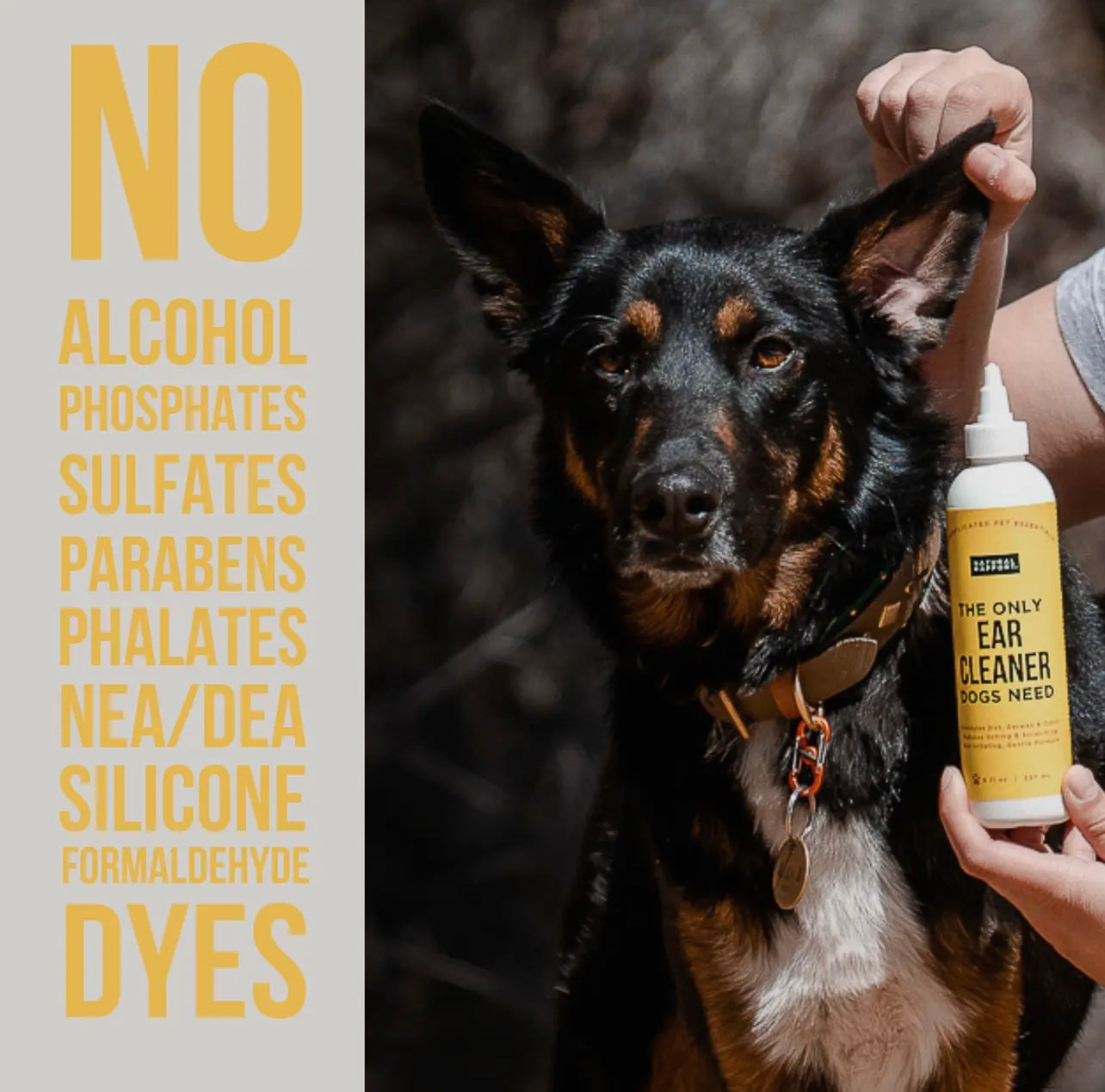The Only Ear Cleaner Dogs Need