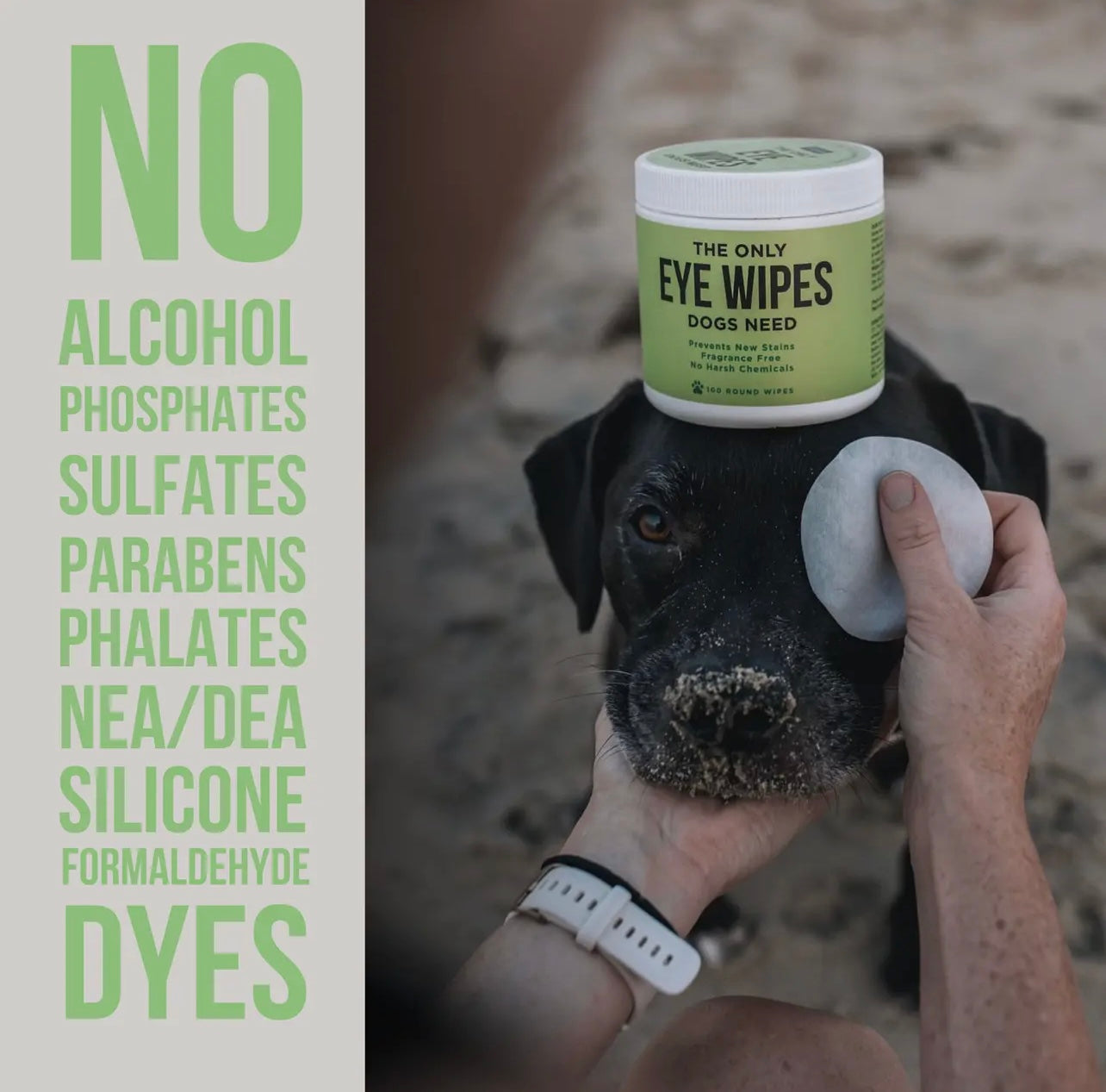 The Only Eye Wipes Dogs Need